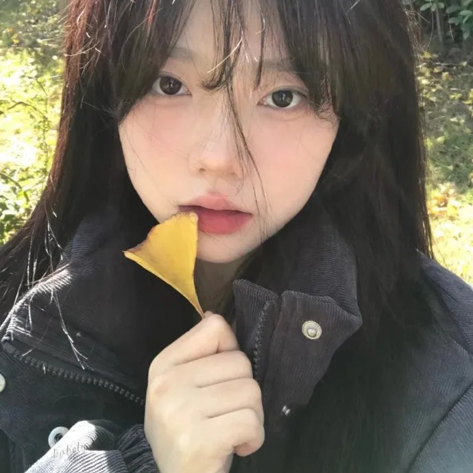 港湾第一季