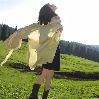 绝代双骄